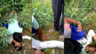 Desi Girl Caught & Gangbang Sex Video – Tamilsex – Sex Video